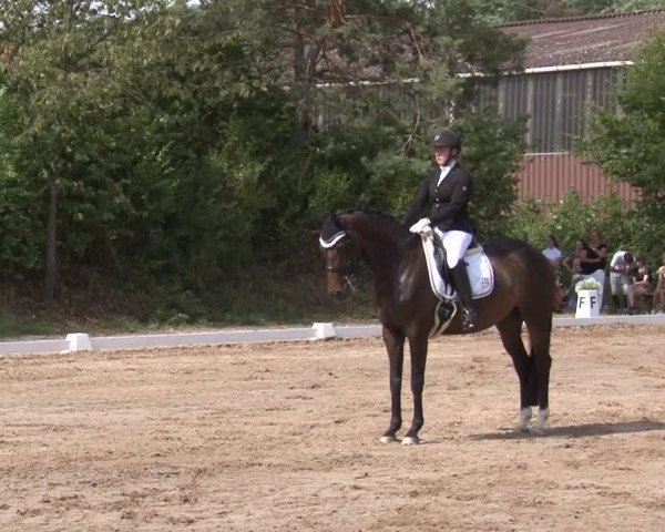 Reitturnier Kleinostheim/Ufr. 2019