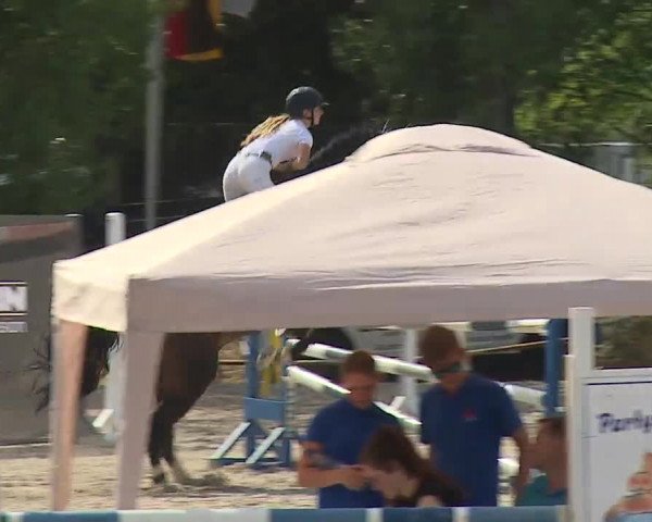 Reitturnier Kleinostheim/Ufr. 2019