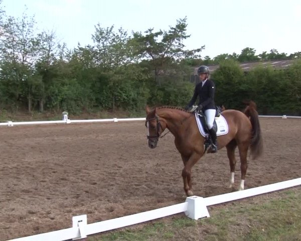 Reitturnier Kleinostheim/Ufr. 2019