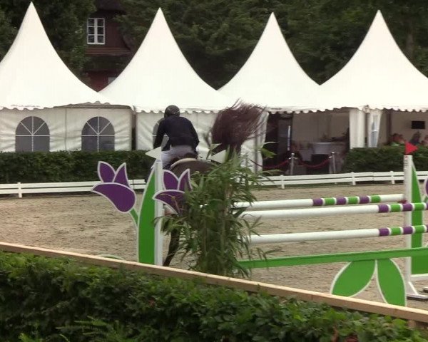 Reitturnier Hörup 2019