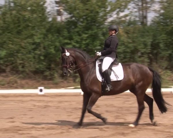 Reitturnier Kleinostheim/Ufr. 2019