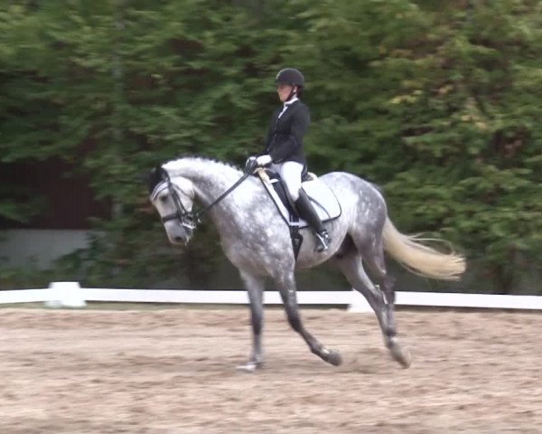 Reitturnier Kleinostheim/Ufr. 2019