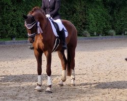 dressage horse Richelieu 52 (Hanoverian, 2017, from Revolution)