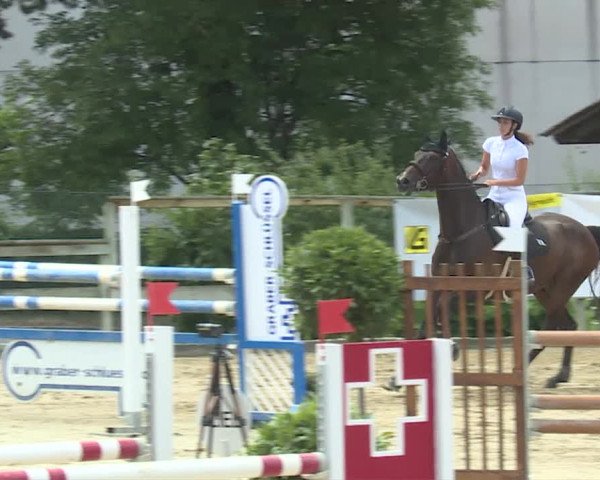 Reitturnier Dagmersellen 2019