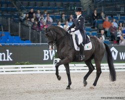 dressage horse Vancouver K (KWPN (Royal Dutch Sporthorse), 2002, from Jazz)