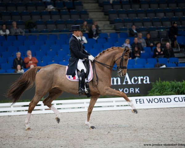 dressage horse Badinda Altena (Royal Warmblood Studbook of the Netherlands (KWPN), 2006, from Tolando)