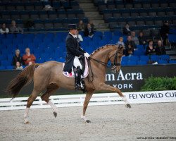 dressage horse Badinda Altena (Swedish Warmblood, 2006, from Tolando)