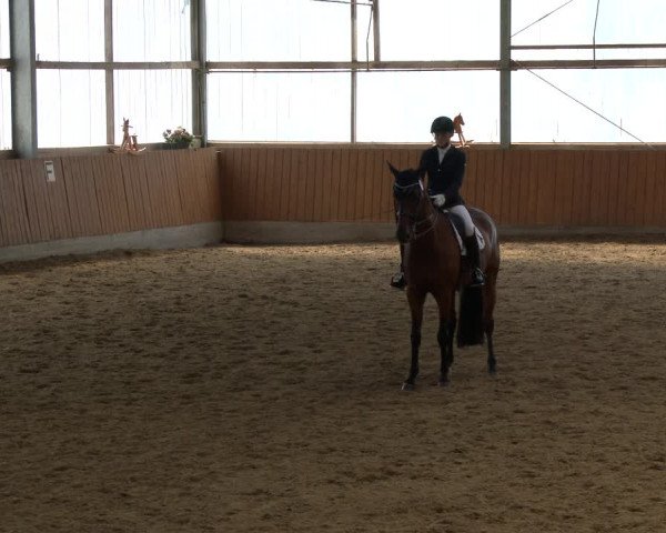 Reitturnier Herbern 2019