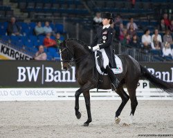 dressage horse DSP Rodriguez (German Sport Horse, 2000, from Rubinstern Noir)