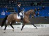 dressage horse Foco Loco W 2 (Belgian Warmblood, 2005)