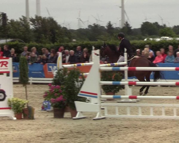 Reitturnier Hörup 2019