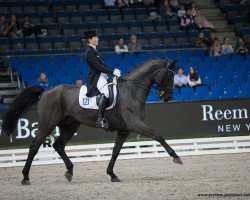 dressage horse Doktor Schiwago 3 (Hanoverian, 2004, from Don Frederico)