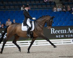 dressage horse Rosafina WRT (Trakehner, 2005, from Elfengeist)