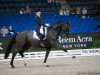 dressage horse Fidelio B OLD (Oldenburg, 2004, from Fürst Heinrich)