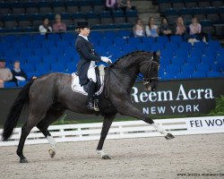 dressage horse Fidelio B OLD (Oldenburg, 2004, from Fürst Heinrich)