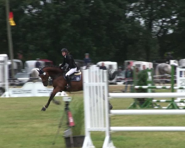 Reitturnier Heide 2019