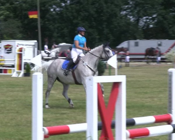 Reitturnier Heide 2019