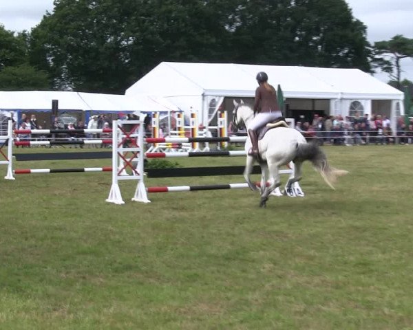 Reitturnier Heide 2019