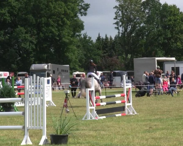 Reitturnier Heide 2019