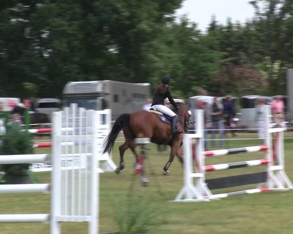 Reitturnier Heide 2019