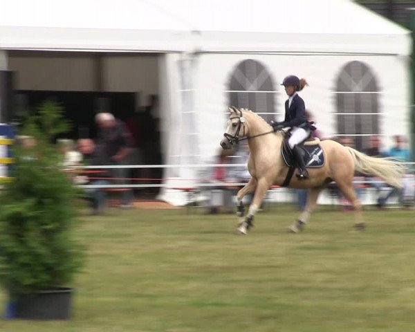 Reitturnier Heide 2019