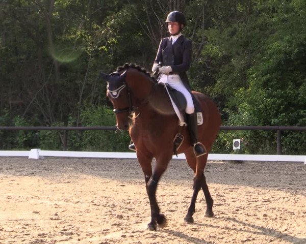 Reitturnier Marienheide-Kempershöhe 2019