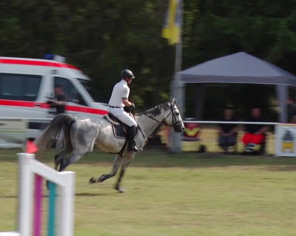 Reitturnier Boock 2019