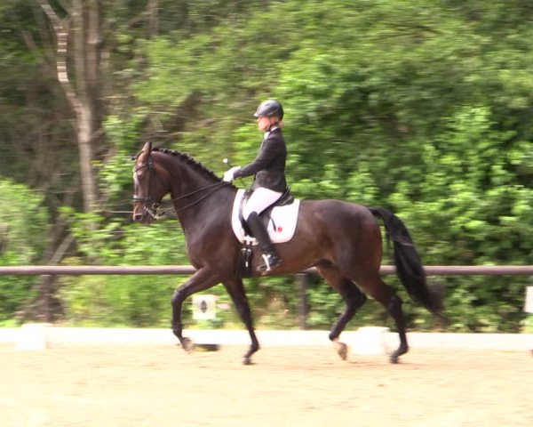 Reitturnier Marienheide-Kempershöhe 2019