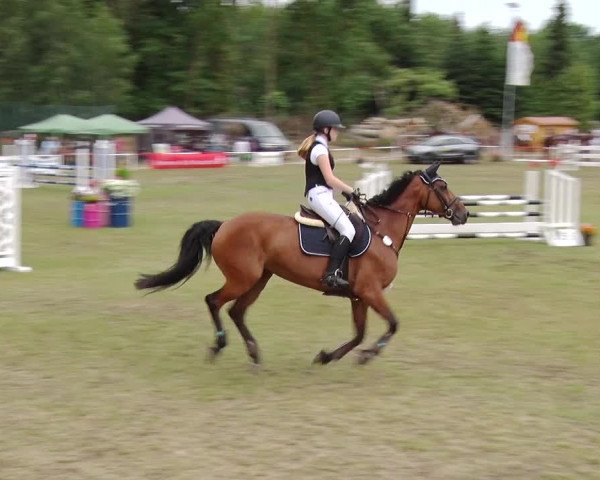 Reitturnier Boock 2019