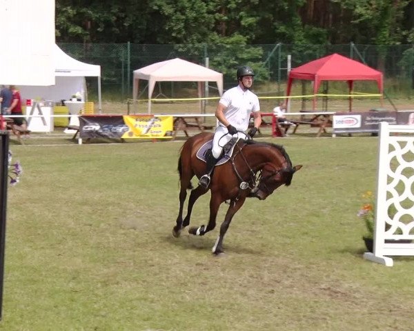 Reitturnier Boock 2019