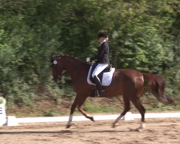 Reitturnier Kleinostheim/Ufr. 2019