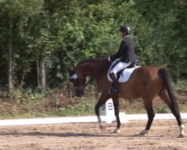 Reitturnier Kleinostheim/Ufr. 2019