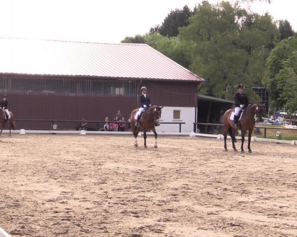 Reitturnier Marienheide-Kempershöhe 2019