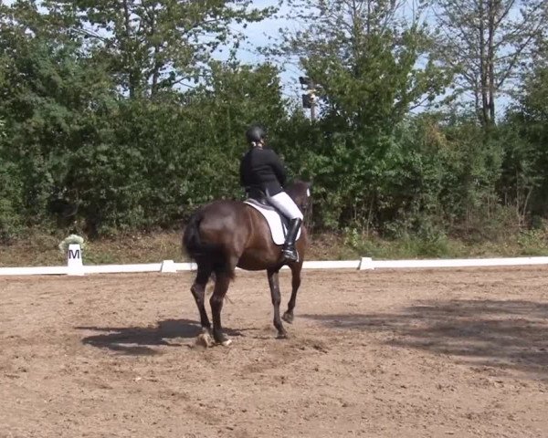 Reitturnier Kleinostheim/Ufr. 2019
