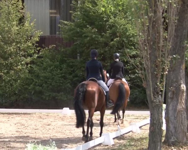 Reitturnier Kleinostheim/Ufr. 2019