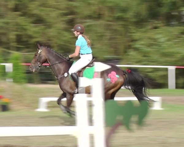 Reitturnier Boock 2019