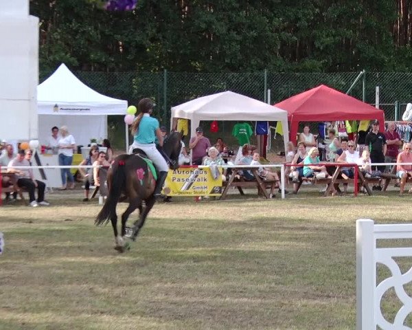 Reitturnier Boock 2019