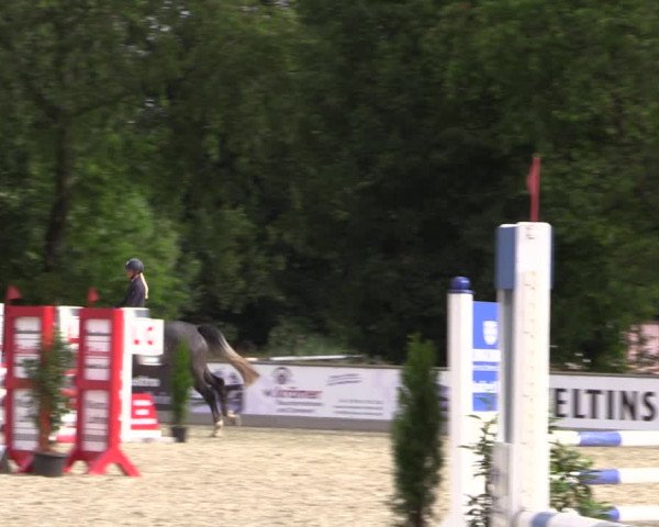 Reitturnier Wietmarschen 2019