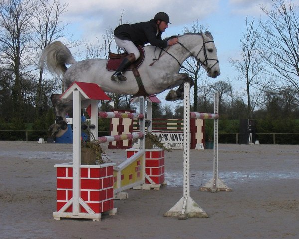 broodmare Kermesse du Manoir (Selle Français, 1998, from Versailles II)