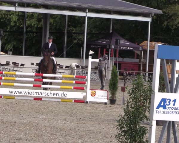 Reitturnier Wietmarschen 2019