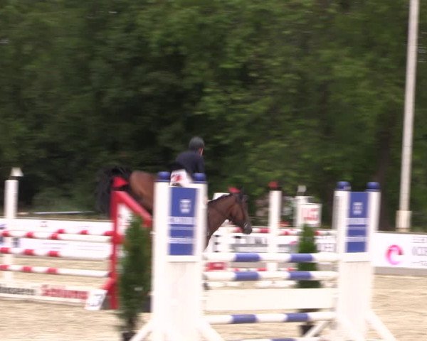 Reitturnier Wietmarschen 2019