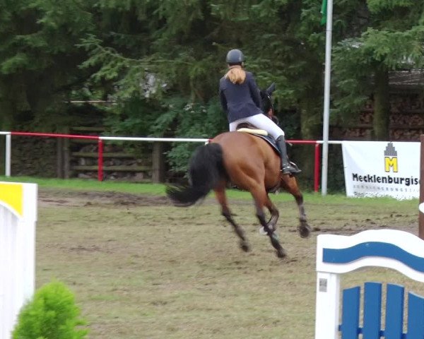 Reitturnier Boock 2019