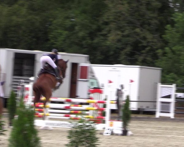 Reitturnier Wietmarschen 2019