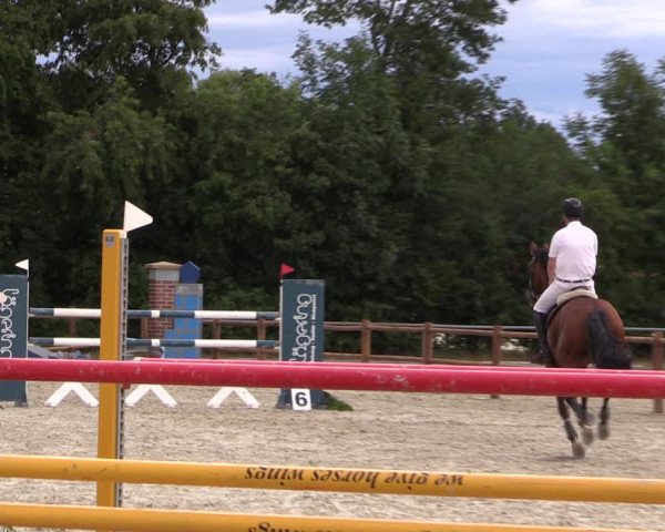 Reitturnier Wietmarschen 2019