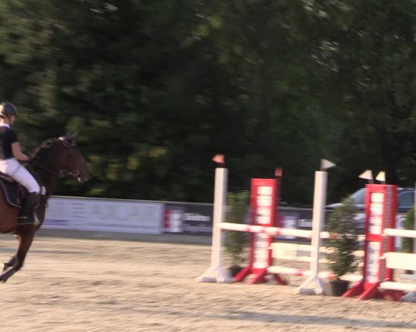 Reitturnier Wietmarschen 2019