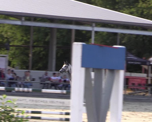 Reitturnier Wietmarschen 2019