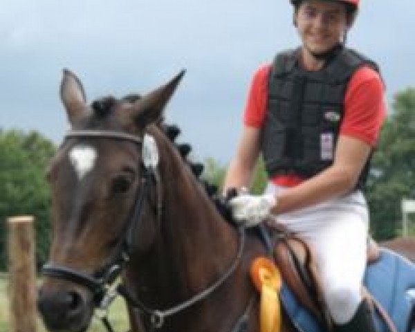 broodmare Herzklopfen (Trakehner, 2008, from Herzog)