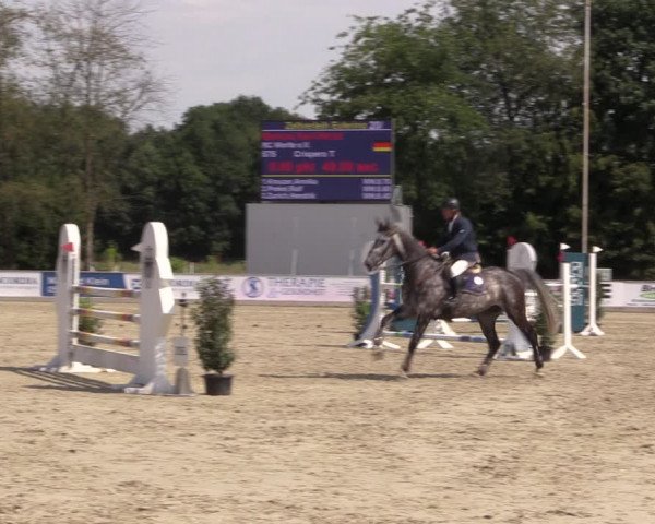 Reitturnier Wietmarschen 2019