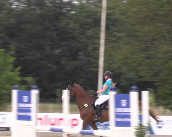 Reitturnier Wietmarschen 2019