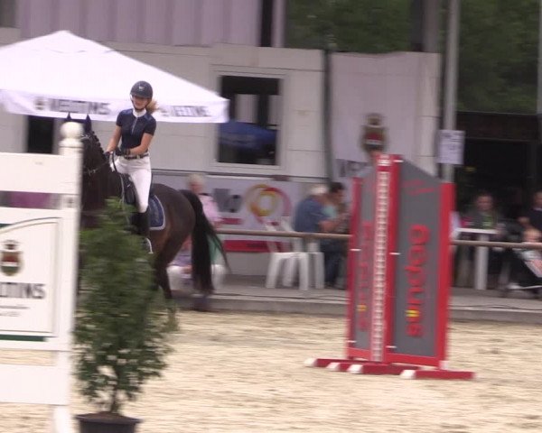 Reitturnier Wietmarschen 2019